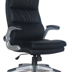 Кресло офисное BRABIX "Fregat EX-510" (рециклированная кожа, черное) 530863 в Когалыме - kogalym.mebel24.online | фото