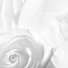 Кухонный фартук Цветы 217 МДФ матовый (3000) Flowers в Когалыме - kogalym.mebel24.online | фото 1