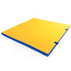Мат гимнастический 1х1х0,05м с вырезом под стойки цв. синий-желтый в Когалыме - kogalym.mebel24.online | фото