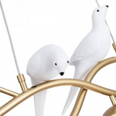 Подвесной светильник Arte Lamp Eltanin A3422SP-4GO в Когалыме - kogalym.mebel24.online | фото 4
