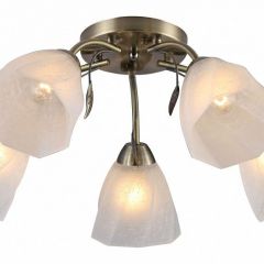 Потолочная люстра Rivoli Olivia Б0052693 в Когалыме - kogalym.mebel24.online | фото