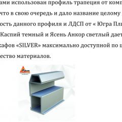 Шкаф-купе 1500 серии SILVER S1+S1+B2+PL2 (2 ящика+1 штанга+1 полка) профиль «Серебро» в Когалыме - kogalym.mebel24.online | фото 4