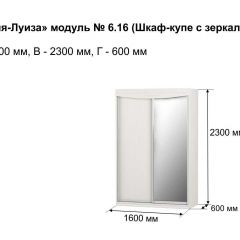 Шкаф-купе 1600 с зеркалом "Мария-Луиза 6.16" в Когалыме - kogalym.mebel24.online | фото 4