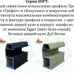 Шкаф-купе 1600 серии SOFT D8+D2+B2+PL4 (2 ящика+F обр.штанга) профиль «Графит» в Когалыме - kogalym.mebel24.online | фото 12