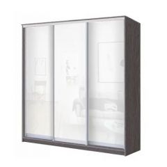 Шкаф-купе ХИТ 22-20/2-888 (620) в Когалыме - kogalym.mebel24.online | фото 9