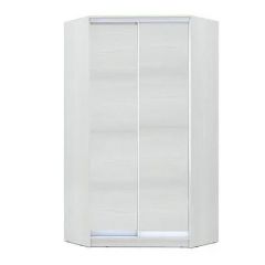 Шкаф-купе ХИТ-У-24-4-11 в Когалыме - kogalym.mebel24.online | фото