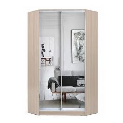 Шкаф-купе ХИТ-У-L-22-64-55 в Когалыме - kogalym.mebel24.online | фото 8