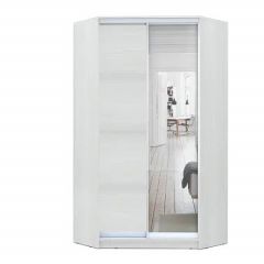Шкаф-купе ХИТ-У-L-24-64-15 в Когалыме - kogalym.mebel24.online | фото