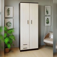 Шкаф распашной ПШ-3.9 в Когалыме - kogalym.mebel24.online | фото 3