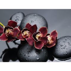 Стол обеденный Бостон Ст101.1 орхидеи в Когалыме - kogalym.mebel24.online | фото 3