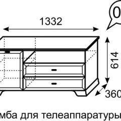 Тумба для телеаппаратуры Венеция 6 бодега в Когалыме - kogalym.mebel24.online | фото 2