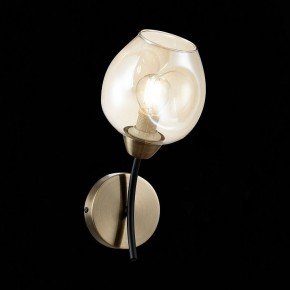 Бра EVOLUCE Besano SLE205301-01 в Когалыме - kogalym.mebel24.online | фото 3