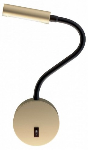 Бра Maytoni Stem C035WL-L3MG3K в Когалыме - kogalym.mebel24.online | фото