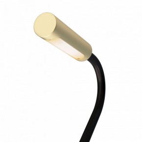 Бра Maytoni Stem C035WL-L3MG3K в Когалыме - kogalym.mebel24.online | фото 6