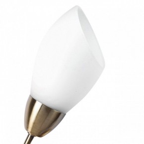 Бра MW-Light Нежность 7 356023001 в Когалыме - kogalym.mebel24.online | фото 2