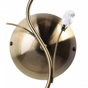 Бра MW-Light Нежность 7 356023001 в Когалыме - kogalym.mebel24.online | фото 3