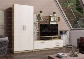 ДАРЬЯ Гостиная (Крафт серый/Крафт белый) в Когалыме - kogalym.mebel24.online | фото