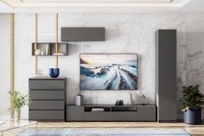 ДЕНВЕР Тумба для телевидеоаппаратуры (Графит серый) в Когалыме - kogalym.mebel24.online | фото 4