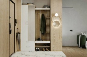 Гарнитур для прихожей Торонто в Когалыме - kogalym.mebel24.online | фото 5