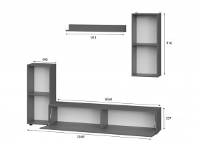 Гостиная МГС 10 (Графит) в Когалыме - kogalym.mebel24.online | фото 2