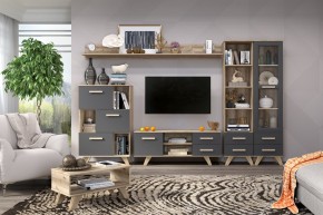 Гостиная Вега Скандинавия (комплект 6) в Когалыме - kogalym.mebel24.online | фото 2