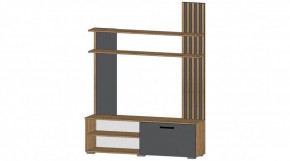 КАРОЛИНА Гостиная в Когалыме - kogalym.mebel24.online | фото 5