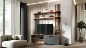 КАРОЛИНА Гостиная (дуб вотан/графит) в Когалыме - kogalym.mebel24.online | фото