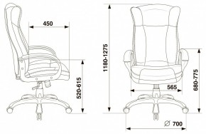 Кресло для руководителя Бюрократ CH-879N в Когалыме - kogalym.mebel24.online | фото