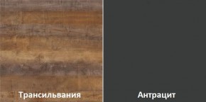 Кухонный гарнитур угловой Трансильвания 2600х1600 мм (Стол. 26 мм) в Когалыме - kogalym.mebel24.online | фото 3