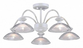 Люстра на штанге Arti Lampadari Noventa Noventa E 1.1.5 W в Когалыме - kogalym.mebel24.online | фото