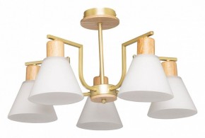 Люстра на штанге De City Дэла 45 635016505 в Когалыме - kogalym.mebel24.online | фото