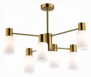 Люстра на штанге EVOLUCE Gessi SLE1139-302-06 в Когалыме - kogalym.mebel24.online | фото 2