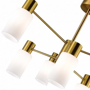 Люстра на штанге EVOLUCE Gessi SLE1139-302-06 в Когалыме - kogalym.mebel24.online | фото 3