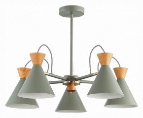 Люстра на штанге EVOLUCE Modica SLE125112-05 в Когалыме - kogalym.mebel24.online | фото 1