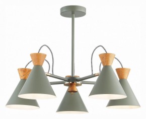 Люстра на штанге EVOLUCE Modica SLE125112-05 в Когалыме - kogalym.mebel24.online | фото 2