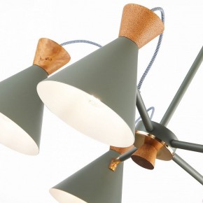 Люстра на штанге EVOLUCE Modica SLE125112-05 в Когалыме - kogalym.mebel24.online | фото 3