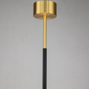 Люстра на штанге Favourite Maximo 2623-12P в Когалыме - kogalym.mebel24.online | фото 7