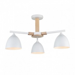 Люстра на штанге Lumion Colange 8095/3C в Когалыме - kogalym.mebel24.online | фото 2