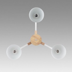 Люстра на штанге Lumion Colange 8095/3C в Когалыме - kogalym.mebel24.online | фото 3