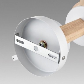 Люстра на штанге Lumion Colange 8095/3C в Когалыме - kogalym.mebel24.online | фото 6