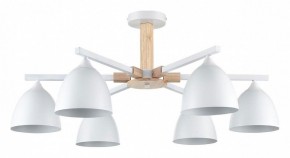 Люстра на штанге Lumion Colange 8095/6C в Когалыме - kogalym.mebel24.online | фото