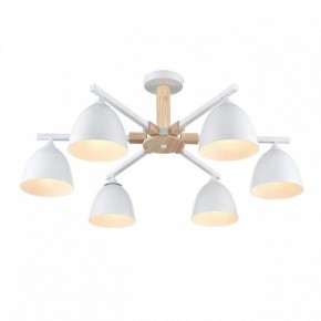 Люстра на штанге Lumion Colange 8095/6C в Когалыме - kogalym.mebel24.online | фото 3