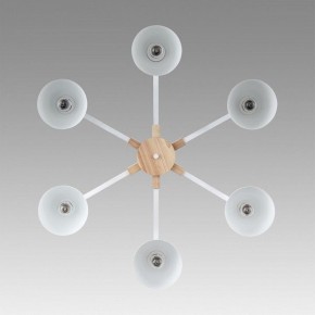 Люстра на штанге Lumion Colange 8095/6C в Когалыме - kogalym.mebel24.online | фото 4