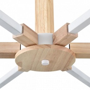 Люстра на штанге Lumion Colange 8095/6C в Когалыме - kogalym.mebel24.online | фото 7