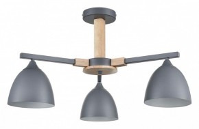 Люстра на штанге Lumion Colange 8096/3C в Когалыме - kogalym.mebel24.online | фото