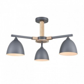 Люстра на штанге Lumion Colange 8096/3C в Когалыме - kogalym.mebel24.online | фото 2