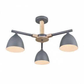 Люстра на штанге Lumion Colange 8096/3C в Когалыме - kogalym.mebel24.online | фото 3