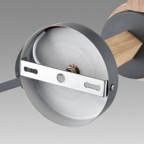 Люстра на штанге Lumion Colange 8096/3C в Когалыме - kogalym.mebel24.online | фото 6