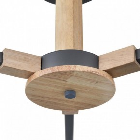 Люстра на штанге Lumion Colange 8096/3C в Когалыме - kogalym.mebel24.online | фото 7