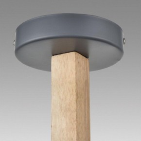 Люстра на штанге Lumion Colange 8096/3C в Когалыме - kogalym.mebel24.online | фото 9